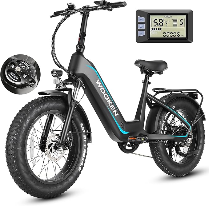 Wooken Electric Bike for Adults, Peak 1000W Motor Ebike,20"x4.0" Fat Tire Electric Bike,48V 624WH Removable Lithium-ion Battery,Up to 60 Miles,Step-Thru Electric Mountain Bike,SGS Certified to UL 2849