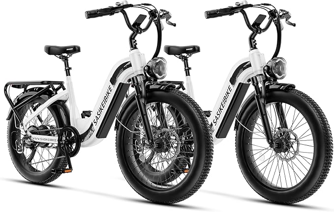 1500W Motor Electric Bike for Adults & Teenager, 48V 20AH Removable Battery Ebike, 24inch Fat Tire Electric Bicycle with 30+MPH, Step-Thru E Bike for Commuting & Mountain, Front Suspension