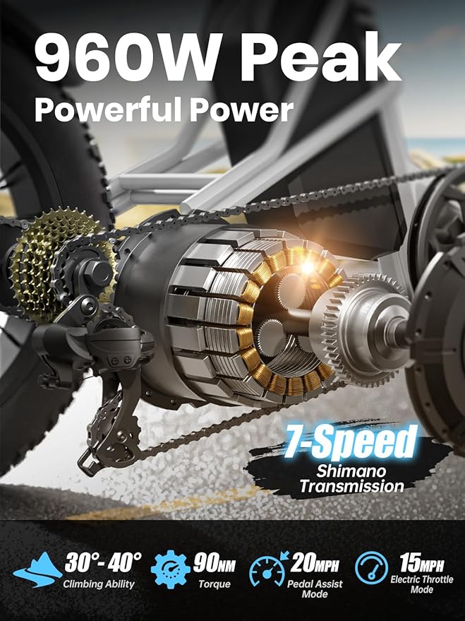 Electric Trike for Adult with 48V 17.4AH Cells Battery, 60 Miles Range, 960W Peak Motor, Pickup Class 500 LB Load Electric Tricycle with 20" Fat Tire and Large Basket for City and Mountain Road, Husky