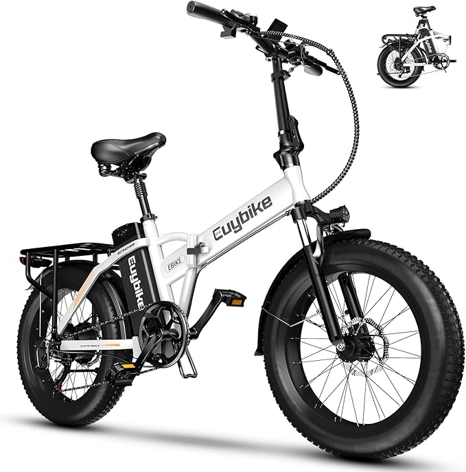 1000W Folding Electric Bike,48V 20AH Removable Battery E Bike,30+MPH,80 Miles Max Range Electric Bike for Adults,20" Fat Tire Foldable ebike,Adult Electric Bicycle for Commute Beach Snow