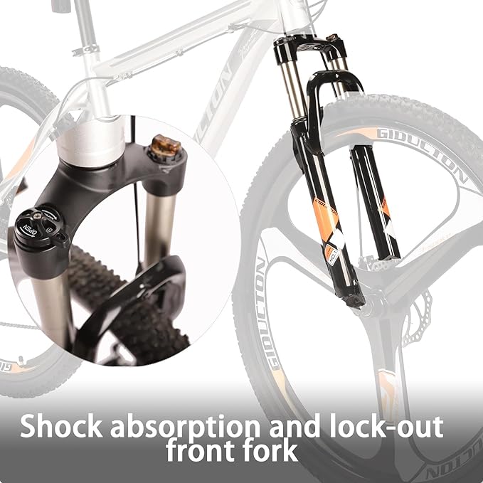 EUROBIKE 29 inch Mountain Bike,21 Speed Bikes for Men, Bicycle with Disc Brakes for Men or Women Adults