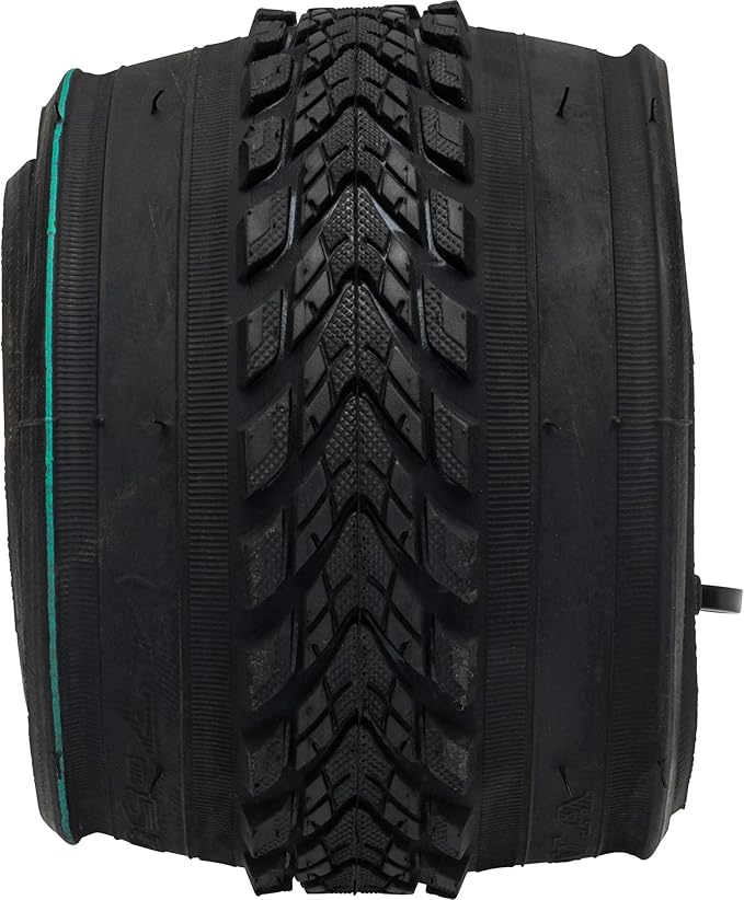 Bell Flat Defense Comfort Bike Tire