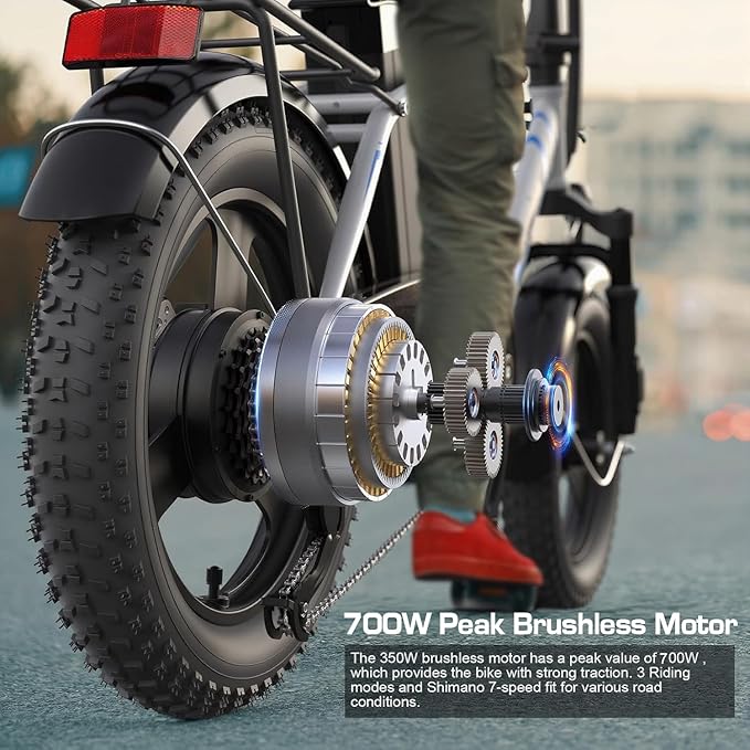 Vivi Gopina Electric Bike, 16" x 3.0 Fat Tire Electric Bike, Peak 500W Step Thru Electric Bicycle, 48V Removable Battery, Up to 40 Miles, LCD Display, 20mph, 7 Speed, SGS Certified to UL2849