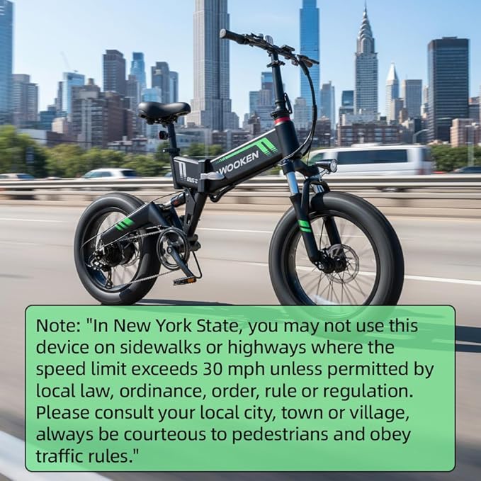 TotGuard Electric Bike,20" Electric Bike for Adults Peak 750W Brushless Motor,20MPH Fat Tire Ebike,Foldable Adult Electric Bicycles with 48V 10Ah Removable Battery,7-Speed,SGS Certified to UL 2849