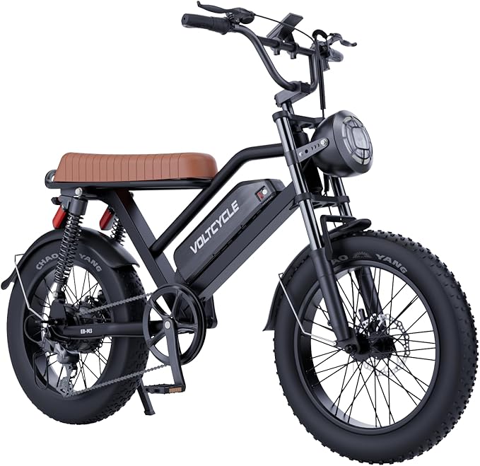 Electric Bicycle for Adults 750W Motor 21MPH 50 Miles Removable 48V Battery, 20/16"x4.0"Fat Tire Dual Disc Brakes, ebike Suitable for City Commuting