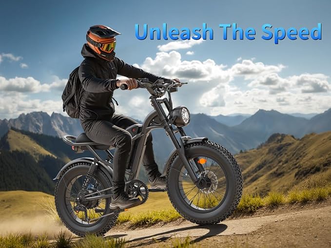 1000W Peak Motor Electric Bike for Adults, 20MPH & 65-Mile Range, 48V 15.6Ah Removable Battery Electric Dirt Bike, with 3 Riding Modes, Dual Suspension Ebike, 20" Fat Tire E-Bike for All-Terrain