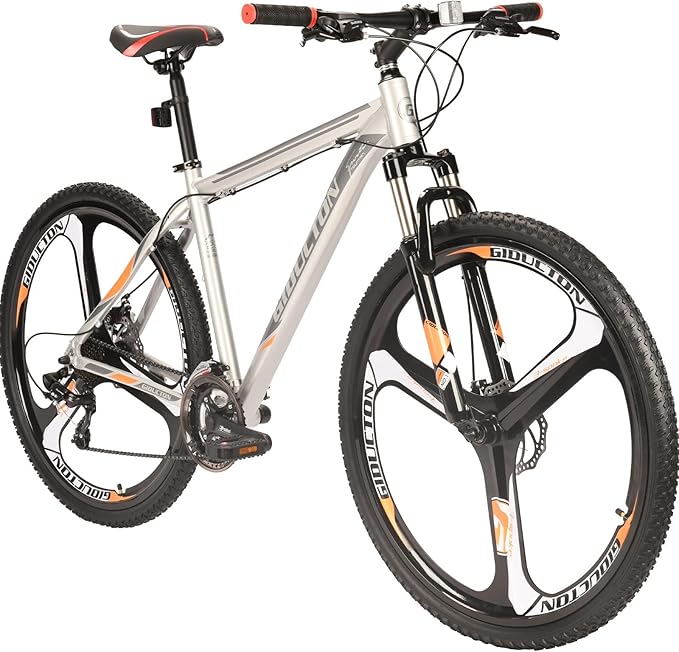 EUROBIKE 29 inch Mountain Bike,21 Speed Bikes for Men, Bicycle with Disc Brakes for Men or Women Adults