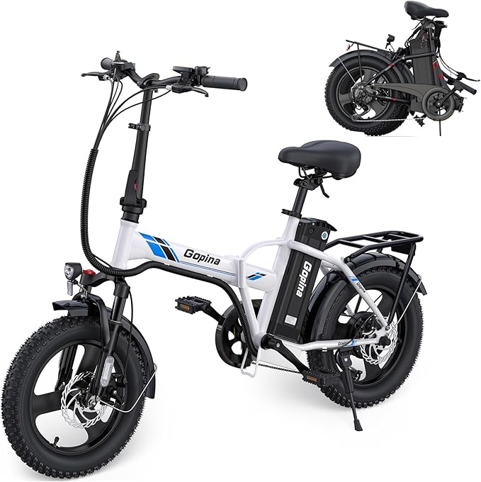 Vivi Gopina Electric Bike, 16" x 3.0 Fat Tire Electric Bike, Peak 500W Step Thru Electric Bicycle, 48V Removable Battery, Up to 40 Miles, LCD Display, 20mph, 7 Speed, SGS Certified to UL2849