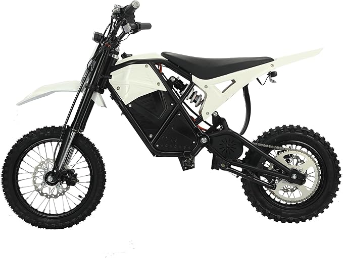 Electric Dirt Bike 3000W for Adults/Teens, 220Nm High-Torque Brushless Motor, 45° Slope Climbing, 38 MPH Off-Road Motorcycle with 48V 21Ah Removable Battery & Hydraulic Brakes