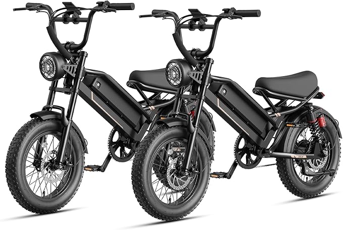 Jasion 3000W/2000W Electric Bike for Adults Teens,Electric Dirt Ebike 80/55 Miles Range,Moped Style E Bike 32/28MPH,20"/16"*4 Fat Tire Off Road Bike with Cruise Control,Dual Suspension E Motorcycle
