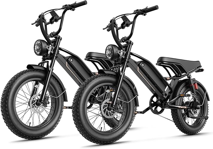Jasion 3000W/2000W Electric Bike for Adults Teens,Electric Dirt Ebike 80/55 Miles Range,Moped Style E Bike 32/28MPH,20"/16"*4 Fat Tire Off Road Bike with Cruise Control,Dual Suspension E Motorcycle