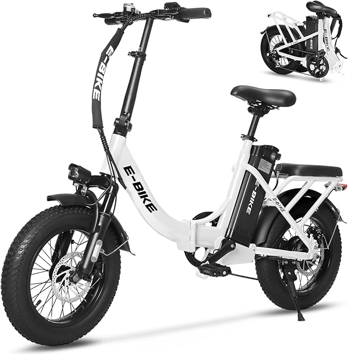 Electric Bike for Adults, 750W Long Range Foldable Ebike with One/Dual Removable Battery, 40-120 Mile/25-30MPH, 20"/16“ Fat Tire Electric Bicycle
