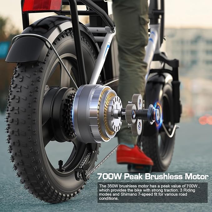 Vivi Gopina Electric Bike, 16" x 3.0 Fat Tire Electric Bike, Peak 500W Step Thru Electric Bicycle, 48V Removable Battery, Up to 40 Miles, LCD Display, 20mph, 7 Speed, SGS Certified to UL2849