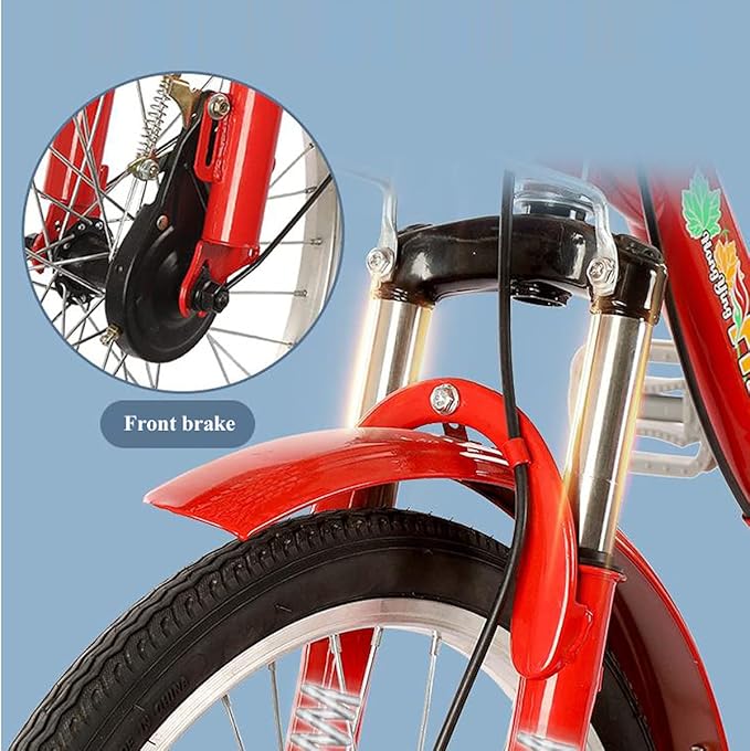 Three Wheel Bike Outdoor 20 Inch Adult Tricycle Trike Bike Cruiser with Rear Bike Basket for Dogs Or Groceries Single Speed Hybrid Commuter Exercise Bike for Women Men Cycling Pedalling