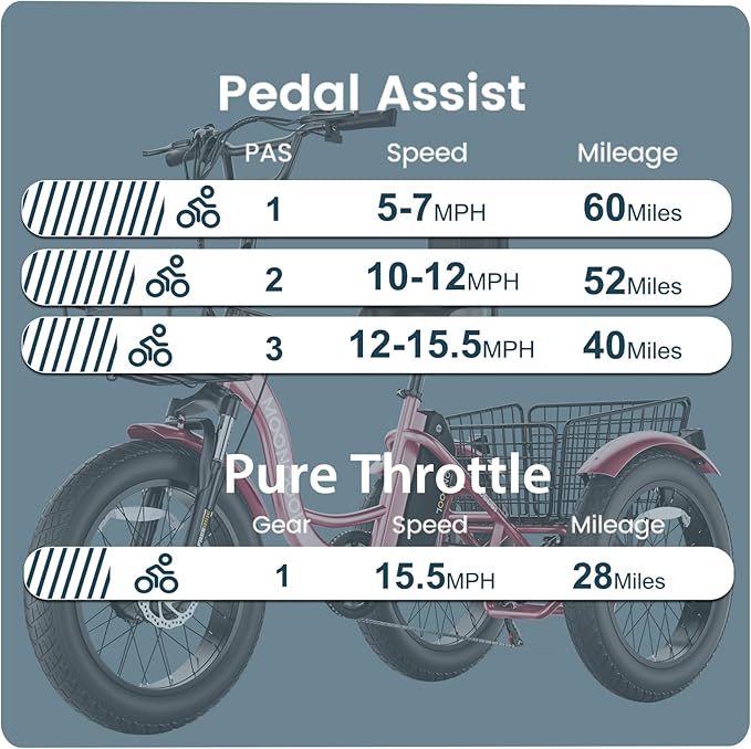 MOONCOOL 1000W 4" Fat Tire Electric Tricycle for Adults, 48V 14.5Ah All-Terrain Aluminum 20" E-Trike, Front Suspension, 7-Speed, 400lbs Max Payload