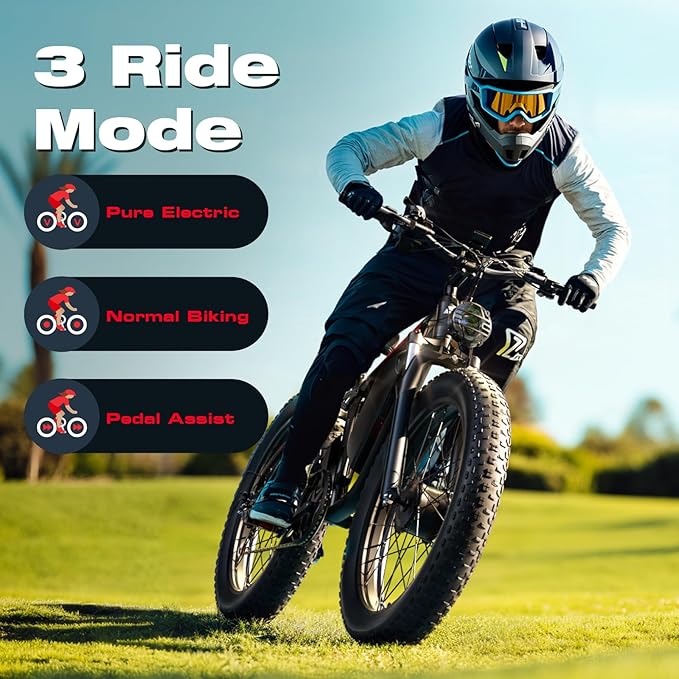 4000W Dual Motor Ebike with 52V 25Ah Removable Battery for Adults,Max Speed 38MPH Up to 100 Miles,24" Fat Tire Electric Bike for Snow Off-Road Commuter Mountain E-Bike for Men