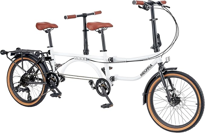 Folding Tandem Bike for Adults,20" Folding Bike Dual Drive Tandem Bicycle,Foldable with Rolling Stand for Easy Transport