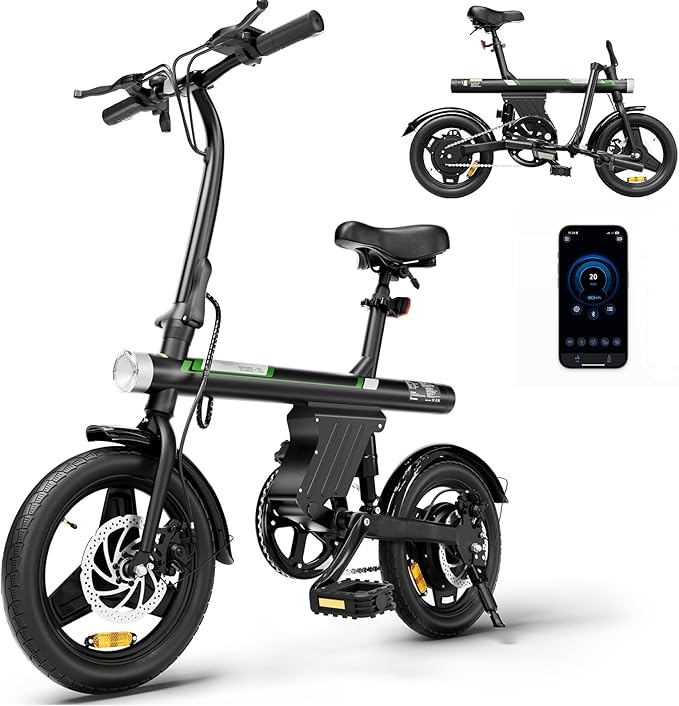 Mini Foldable Electric Bike