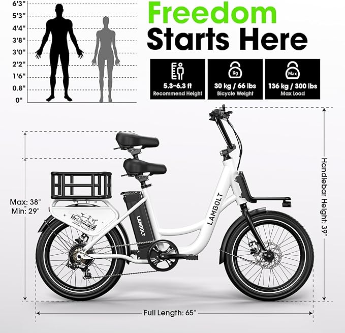 Electric Bike for Adults - 1000W Peak Motor Ebike with 48V15Ah Removable Battery, 20" x 3.0 Fat Tire Step-Thru 7-Speed Commuter Electric Bicycle, Up to 24 MPH, 70 Miles Range, UL 2849 Certified.