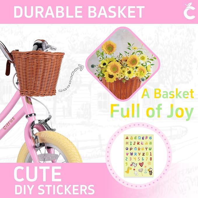 Girls Bike for Age 2-12 Years Old Kids Toddlers 12 14 16 18 20 Inches Retro Bicycles with Training Wheels Basket Bell Ring, Multiple Colors