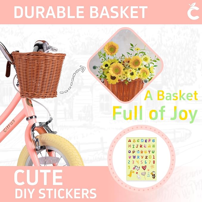 Girls Bike for Age 2-12 Years Old Kids Toddlers 12 14 16 18 20 Inches Retro Bicycles with Training Wheels Basket Bell Ring, Multiple Colors