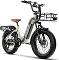1500W Motor Electric Bike for Adults 80 Miles 30MPH Ebike 20" x 4 Fat Tire 48V 20Ah Removable Battery Mountain E Bike Commuter Front Suspension Bicycles Men Women