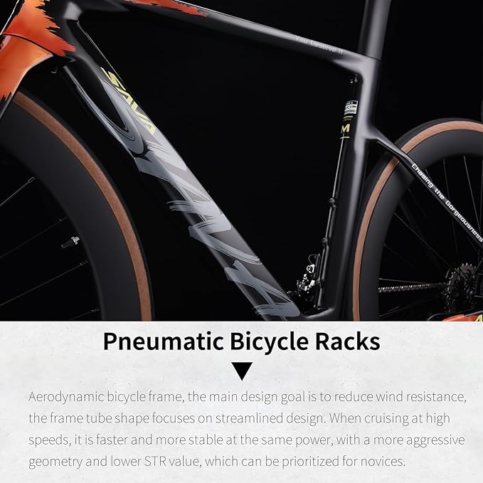 SAVADECK Carbon Fiber Road Bike, Hydraulic Oil Disc Bike with Carbon Fiber Frame and Wheelset, Lightweight Full Carbon Racing Bicycle with Shimano R7120 24S Shift Set for Adults