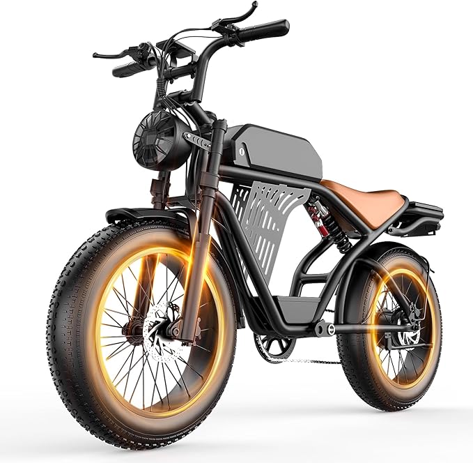 ASKGO Electric Bike for Adults, 2500W Peak Motor, 33 MPH & 65-100 Miles Range, 48V 20AH Removable Battery, 20" Fat Tire Dirt Bike, Dual Suspension Off-Road E-Bike with NFC/Password Unlock