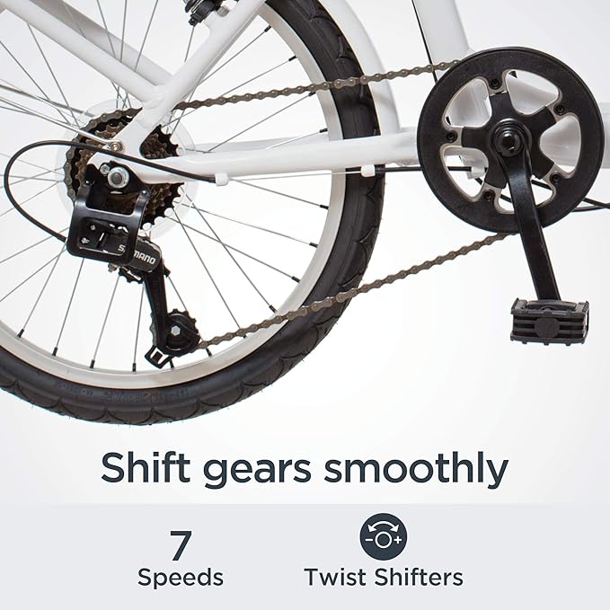 Schwinn Loop