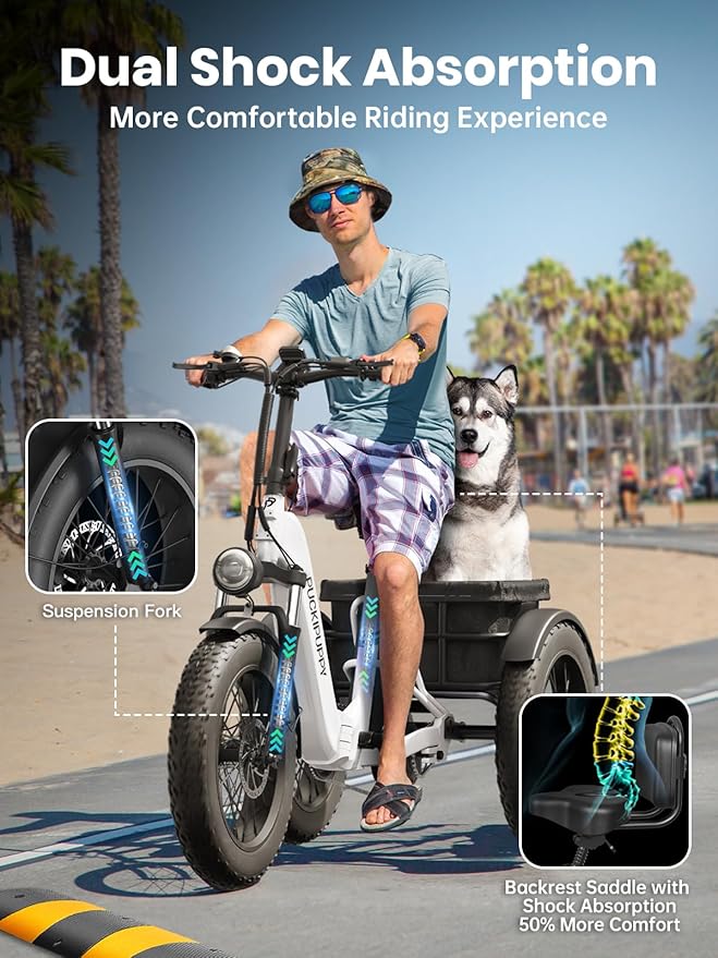 Electric Trike for Adult with 48V 17.4AH Cells Battery, 60 Miles Range, 960W Peak Motor, Pickup Class 500 LB Load Electric Tricycle with 20" Fat Tire and Large Basket for City and Mountain Road, Husky