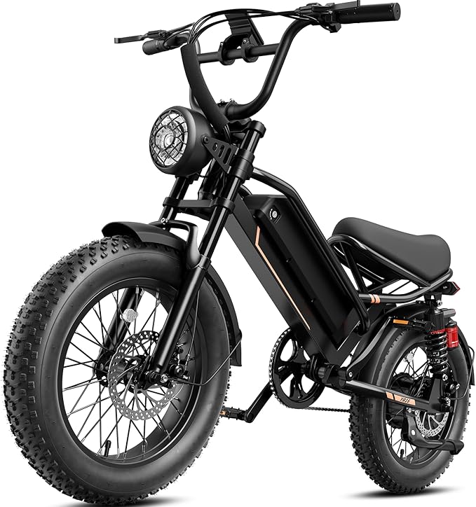 Electric Bike for Adults Teens,3000W/2000W Peak,20"/16" Fat Tire Off Road Dirt Ebike,80/55 Miles LongRanger,32/28 MPH E Bike Bicycles, Fat Tire All Terrain E-Bike,E Bike for Hunting,YR20 with Footrest