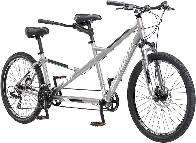 Schwinn Twinn