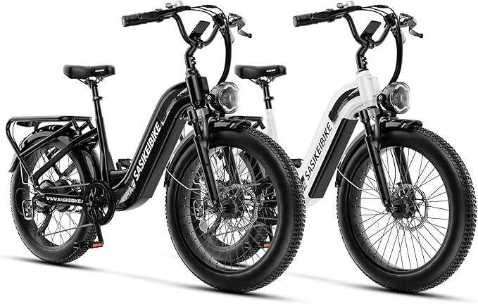 1500W Motor Electric Bike for Adults & Teenager, 48V 20AH Removable Battery Ebike, 24inch Fat Tire Electric Bicycle with 30+MPH, Step-Thru E Bike for Commuting & Mountain, Front Suspension