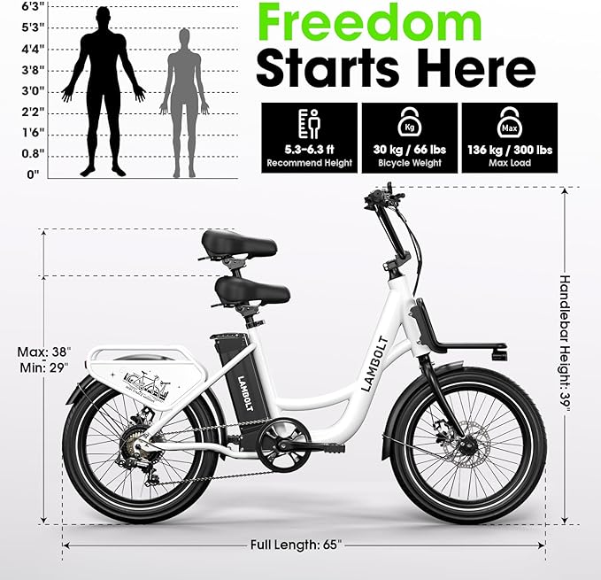 Electric Bike for Adults - 1000W Peak Motor Ebike with 48V15Ah Removable Battery, 20" x 3.0 Fat Tire Step-Thru 7-Speed Commuter Electric Bicycle, Up to 24 MPH, 70 Miles Range, UL 2849 Certified.