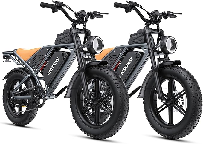 DEEPOWER Electric Bike for Adults,2000W Peak Motor&32MPH Electric Dirt Bike，48V 20AH/35AH/60AH Battery, 70-160 Max Miles,Dual Suspension Ebikes for Adults, 20" Fat Tire E Bike