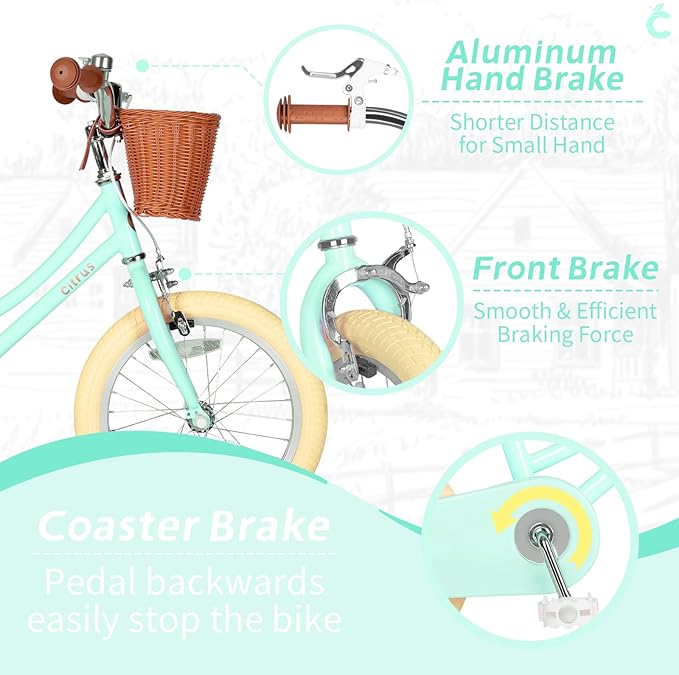 Girls Bike for Age 2-12 Years Old Kids Toddlers 12 14 16 18 20 Inches Retro Bicycles with Training Wheels Basket Bell Ring, Multiple Colors