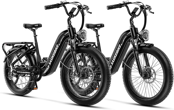 1500W Motor Electric Bike for Adults & Teenager, 48V 20AH Removable Battery Ebike, 24inch Fat Tire Electric Bicycle with 30+MPH, Step-Thru E Bike for Commuting & Mountain, Front Suspension