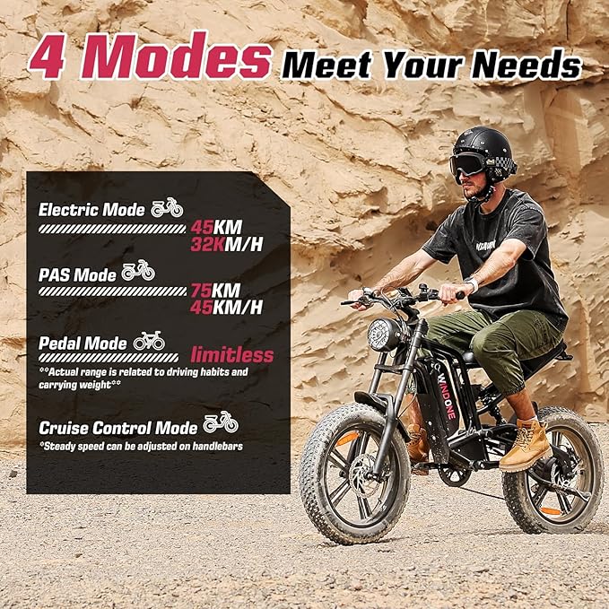 Windone E2 Electric Bike for Adults, Full Suspension, 48V13Ah Removable Battery, Up to 28MPH & 46.6 Miles (PAS), 1000W Ebike with All-Terrain 4.0" Fat Tires, Cruise Control, UL Certified, Moped E-Bike