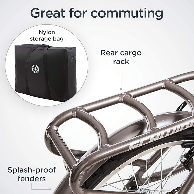 Schwinn Loop
