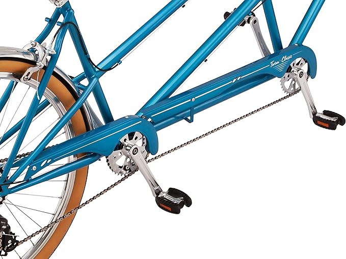 Schwinn Twinn