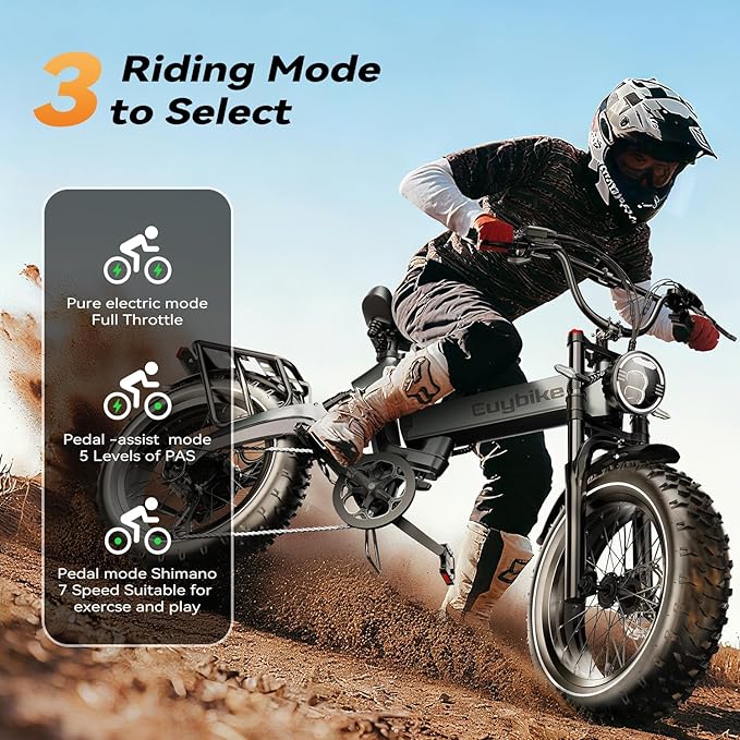 2000W/3000W Peak Motor Electric Bike for Adults, 48V/52V 25AH/30AH Battery Full Suspension Foldable Ebike, 20"x4.0" Fat Tires 35MPH Dirt Bike, 100/120 Miles Hydraulic Brake Magnesium Alloy Motorcycle