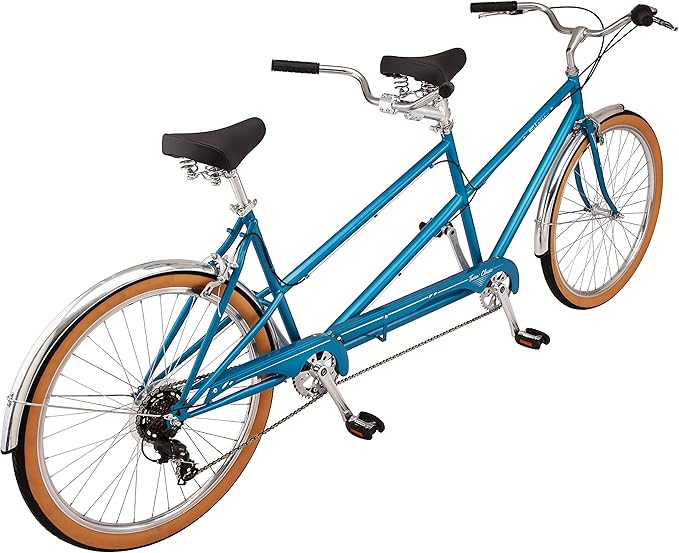 Schwinn Twinn
