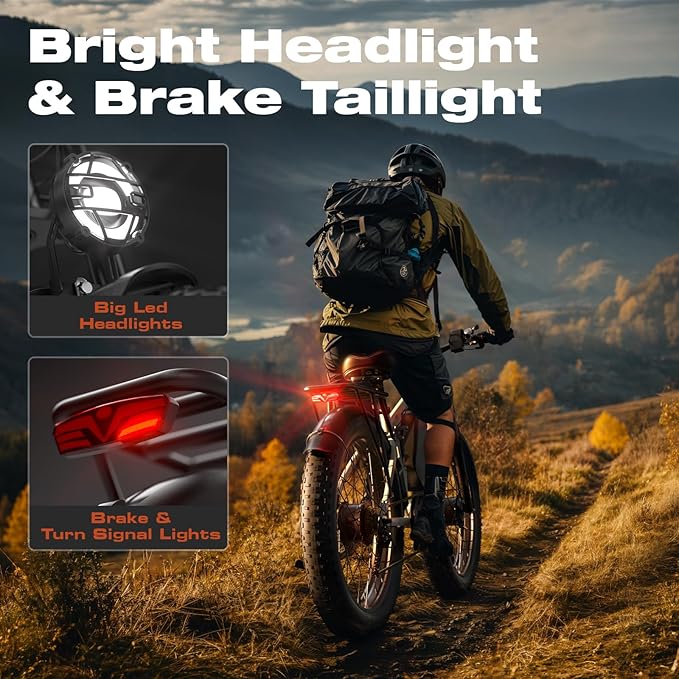 Electric Bike, 52V 25Ah 4000W Dual Motors, 24" Fat Tires Adult, 38mph Up to 110 Mile Range, Full Suspension, Hydraulic Brakes Class 3 Ebike, for Off-Road Mountain Riding Adventures