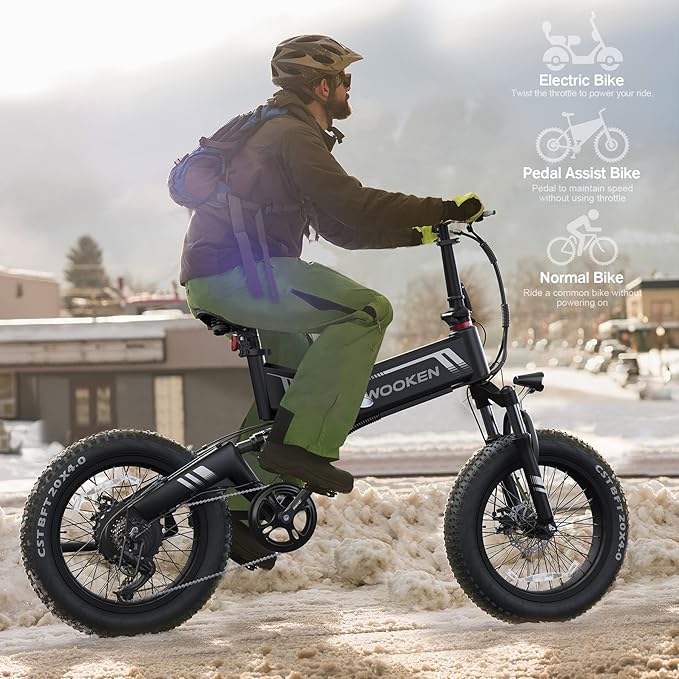 TotGuard Electric Bike,20" Electric Bike for Adults Peak 750W Brushless Motor,20MPH Fat Tire Ebike,Foldable Adult Electric Bicycles with 48V 10Ah Removable Battery,7-Speed,SGS Certified to UL 2849