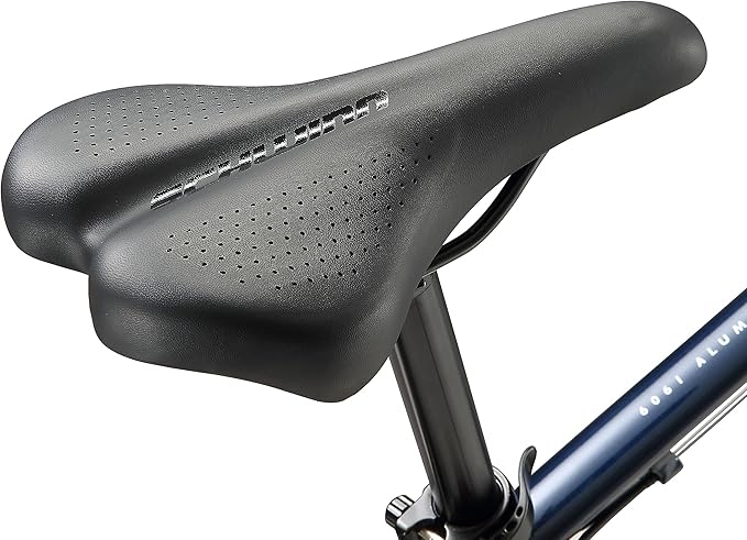 Schwinn GTX Comfort Adult Hybrid Bike, Men and Women, Dual Sport Bicycle, 700c Wheels, Step-Through or Step-Over Lightweight Aluminum Frame