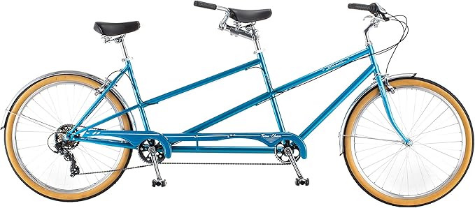 Schwinn Twinn
