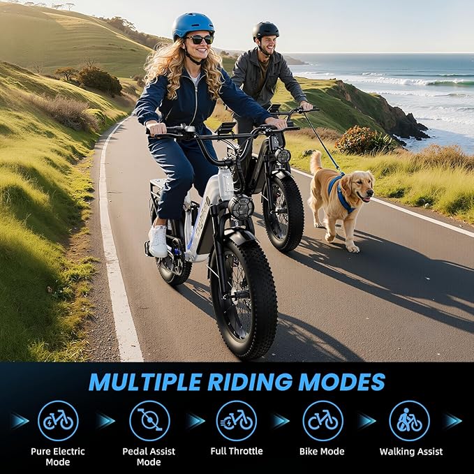 Electric Bike for Adults, 48V 20Ah Battery,1500W Peak Motor Step Thru Ebike 80+ Miles Max Range, 20x4.0 Fat Tires,Max 30Mph Electric Mountain Bike for All Terrain, Ideal for Commute, Off-Road