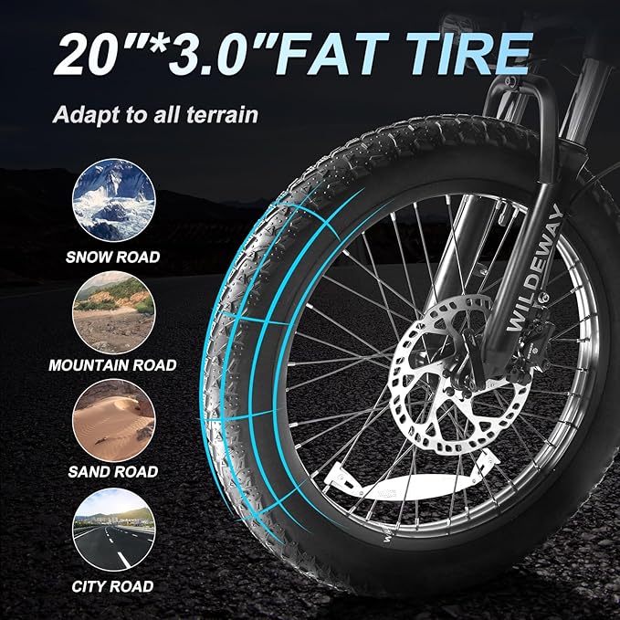 Wildeway Folding Electric Bike for Adults with 750W Motor 32Ah Battery Long Range FW11 Ebike 20 * 3.0 Fat Tire Foldable Adults Electric Bicycle for Men Women City Commuter Delivery 2 Seat