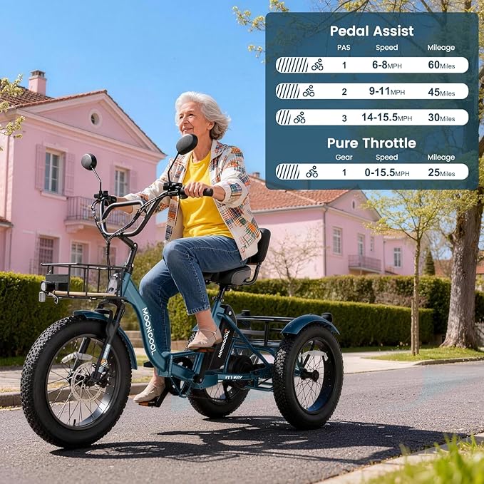 MOONCOOL 1000W 4" Fat Tire Electric Tricycle for Adults, 48V 14.5Ah All-Terrain Aluminum 20" E-Trike, Front Suspension, 7-Speed, 400lbs Max Payload