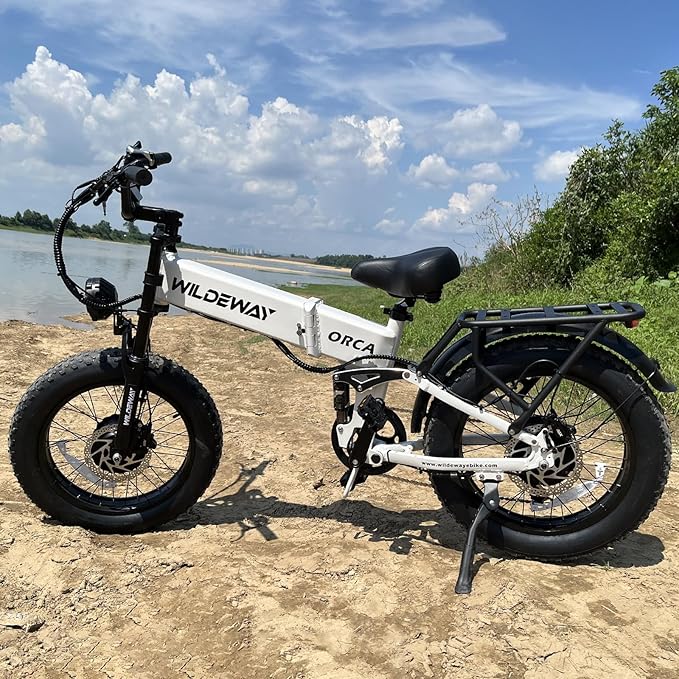 Wildeway Dual Motor 20" Fat Tire Electric Bike 2300W 20Ah Removable Battery 28 MPH Folding Ebike Off Road Mountain Full Suspension Long Range Foldable Electric Bicycle for Adults Men 2 Seat
